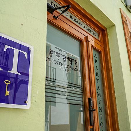 Apartamentos Puente Romano Suites Mérida Luaran gambar